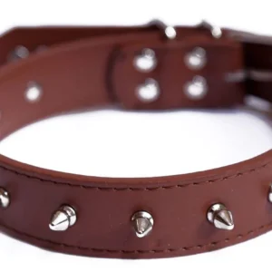 LEATHER DOG COLLAR
