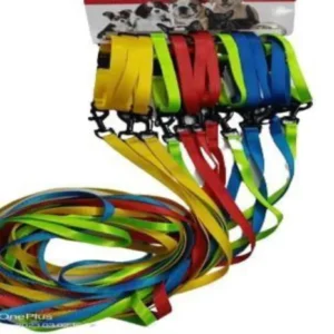 NYLON COLLAR & LEASH SET