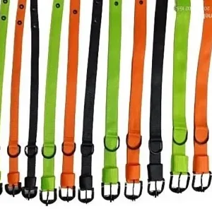 NYLON (NEON COLORS COLLAR)