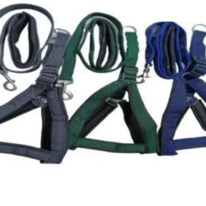 POLYSTER LEASH AND COLLAR SET