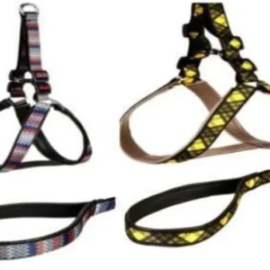 PRINTED JAGUARD LEASH & HARNESH SET